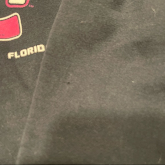 USF Hoodie Russel Athletic - Picture 11 of 14